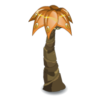 Palmifleur Passaoh