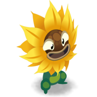 Tournesol Sauvage