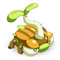 Scarafeuille Immature