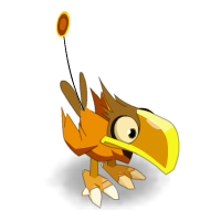 Kwak