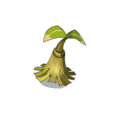 Caskoko