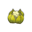 Chapollinisateur