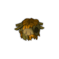 Plastron boisé