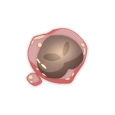 Coeur L'amour