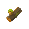 Bois de Noisetier