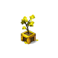 Plante d'Enutrosor