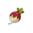 Tuberbulbe