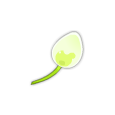 Rozen