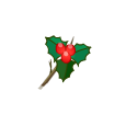 Branche de Houx