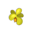 Touffe Cawotte