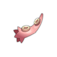 Bout de tentacule de poulpe