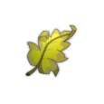 Feuille flétrie