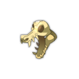 Crâne crocodaille