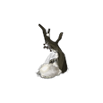 Niche Arakne
