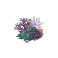 Niche Mollusky