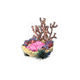 Niche Bilbyplage